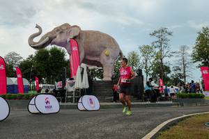 BIB: 
                            <button type="button" onclick="openModal(26528950)" class="btn btn-primary btn-sm float-right btn-popup" data-toggle="modal" data-target=".modal-high-quality">
                        <i class="fas fa-shopping-cart"></i> Add to Cart
                    </button>
                                            <button type="button" onclick="isThisMe(26528950, true)" class="btn btn-success btn-sm float-right btn-popup btn-isme hidden" data-toggle="tooltip" data-placement="bottom" title="นี่คือรูปของคุณใช่ไหม คลิกที่นี่เพื่อเอาเข้าอัลบั้ม">
                        <i class="fas fa-plus"></i> Add to album
                    </button>
                    <button type="button" onclick="isThisMe(26528950, false)" class="btn btn-warning btn-sm float-right btn-popup btn-isnotme hidden">
                        <i class="fas fa-ban"></i> Remove from album
                    </button>